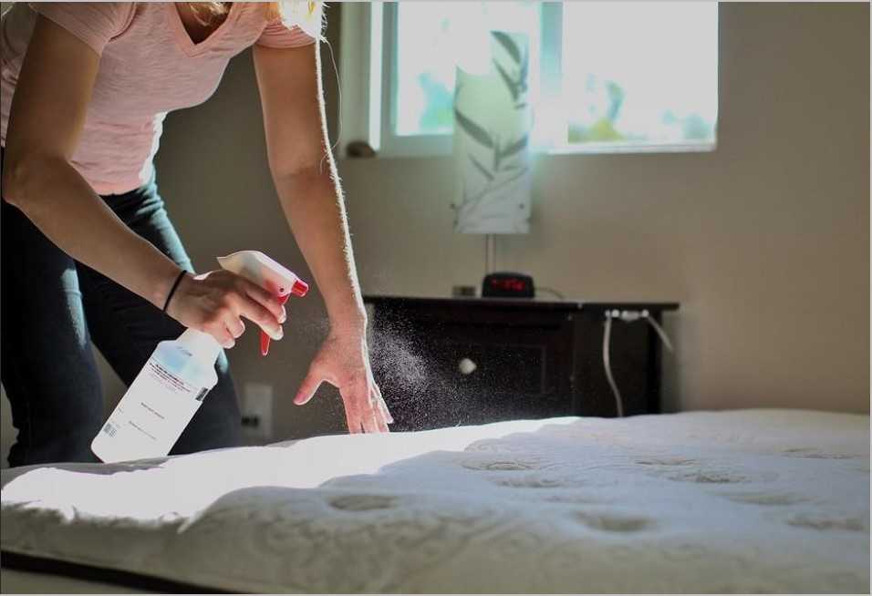 Best Mattress Cleaner - featured image