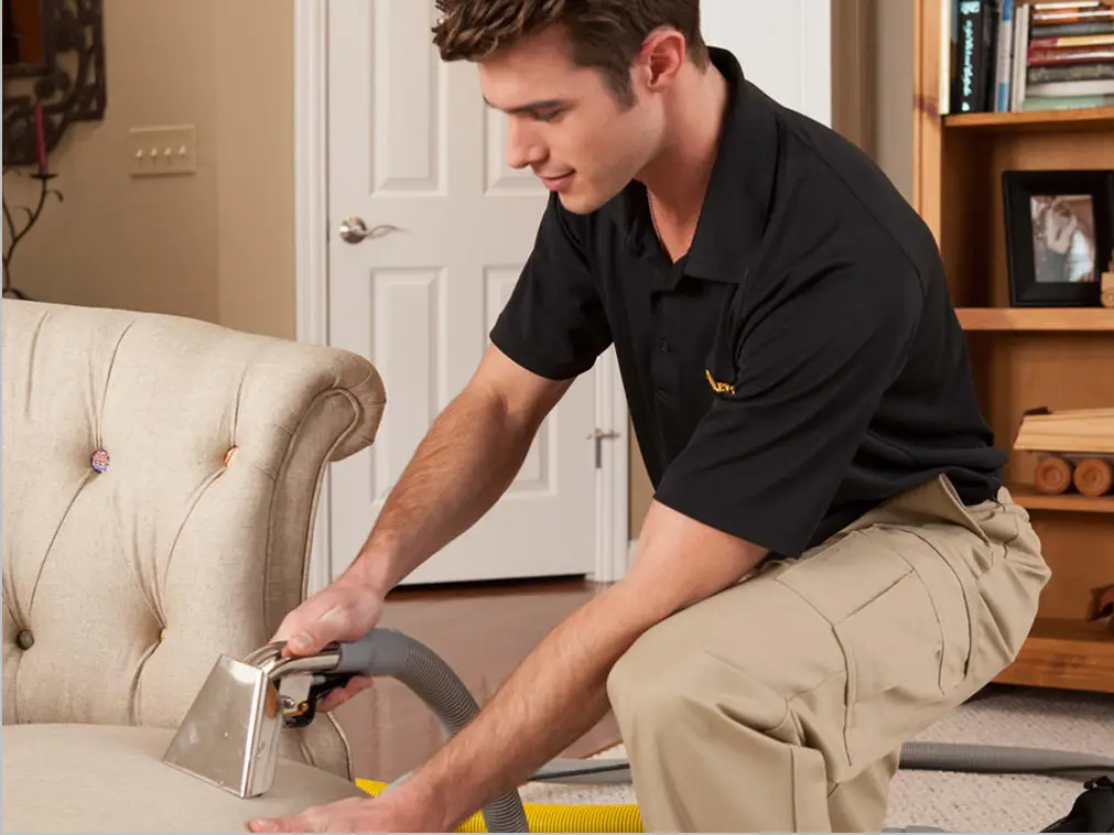 Stanley Steemer Furniture Cleaning