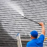 Roof Cleaner - featured image