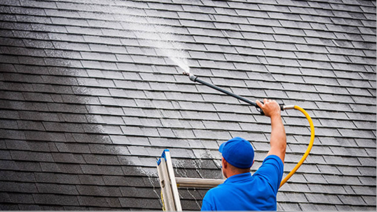 Roof Cleaner - featured image